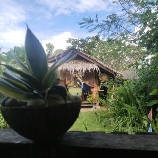 Shirley's Cottage - Pamilacan Island - 7