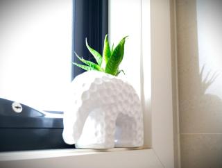 All you need for work, stay and relax - 2