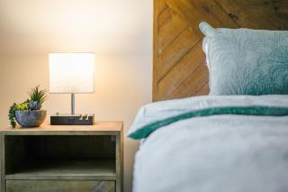 Seednest Gameroom &Green Oasis - 4