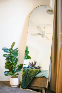 Seednest Gameroom &Green Oasis - 3