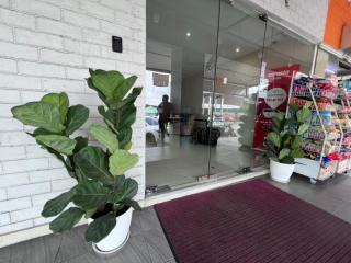 Swing & Pillows - Kajang, Selangor - 5