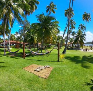 Beachfront chalet in Carneiros for New Year's Eve - 8