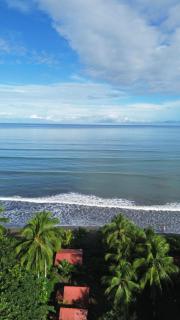 El Retoño del Negro Gozón - 0