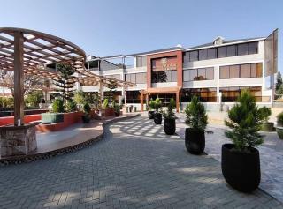 فندق شادن الفخامة - 8