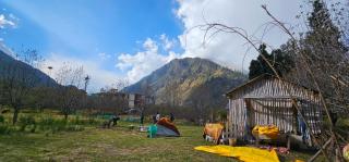 Hippy Hyde Kalga - 9