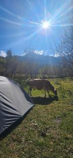 Hippy Hyde Kalga - 8