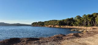 Cosy Rez jardin 1 chambre plage parking wifi - 4