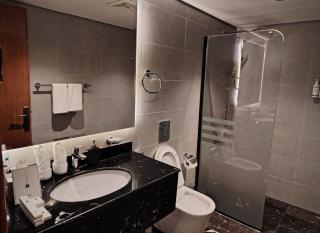 فندق شادن الفخامة - 3