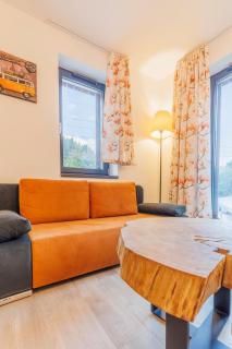 Apartmán Anetta Herlíkovice - 45m2 with balkony near cable car to hill Žalý and ski slope - 6