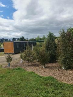 Frogs Hollow - Greytown - 3