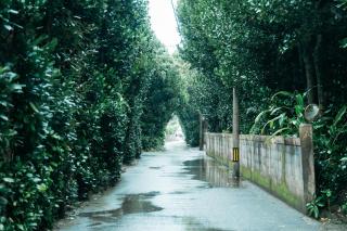 New Open Sale, Playa, A Peaceful Local Stay in Blue Zone Okinawa - 4