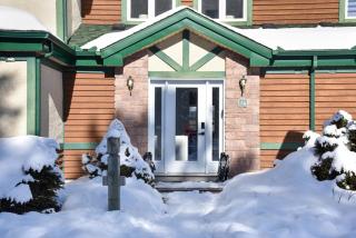 2-Level Home - Tremblant Mountain View - Fireplace - 3