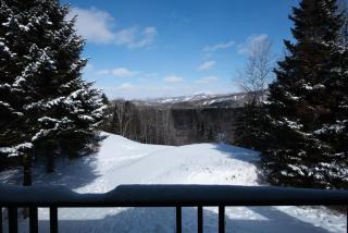 2-Level Home - Tremblant Mountain View - Fireplace - 4