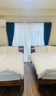 Iwamoto compound 301 岩本コンパウンド301 - 0