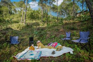 Stars and Windsongs by ELIVAAS, Nahan - 6