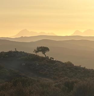 Aardvark Bioreserve - Ladismith - 9