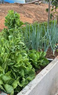 Recanto Cravo & Canela - 2