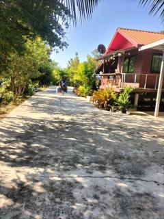 Green moon Home stay 51 - 6