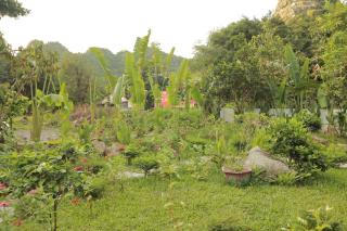 Trang An by Linh Homestay - 1