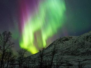 4 person holiday home in TANA - 0