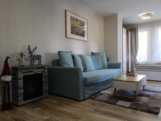 Green Line Studio Appartment Pamporovo - 0