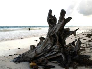 Diani Kikwetu Villas - 9