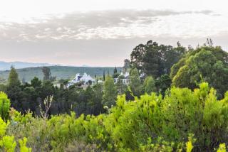 Galenia Estate - Montagu - 8