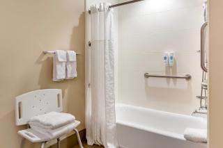 Comfort Suites Florence - Cincinnati South - 3