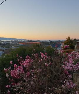 Spectacular sunsets over Nelson Bays - 6