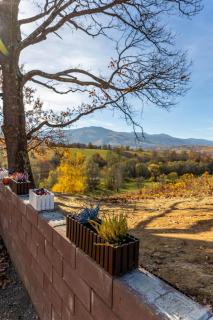 Dream Cottage A-Frame - 8