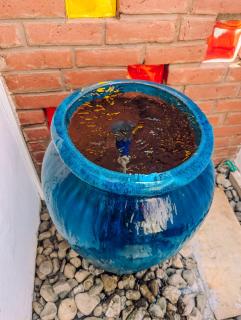 Kali Hideaway Experience Arusha - 6