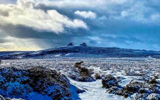 Haytor Court, Haytor, Dartmoor - 8