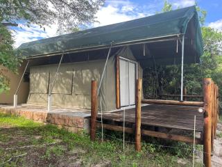 Proudly Okavango self-catering Burnside - 5