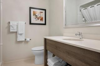 Amsterdam Inn & Suites, an Ascend Collection Hotel - 2