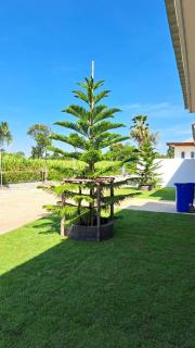 Tanya's Cafe & Resort - 9