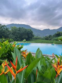 Hoàng Nông Farm - 4