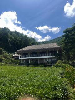 Hoàng Nông Farm - 3