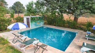 Jungle Book Ranthambore - 9