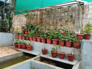 ANURA STAYS Magallamakki - 5