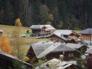 Chalet le Nid independant mountain chalet - 1