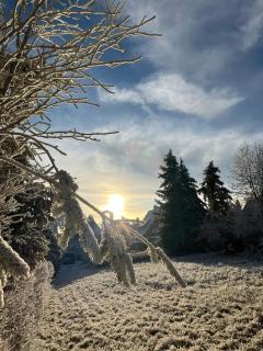 Erzgebirgshaus Zirbenliebe - 9