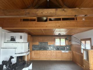 Panorama-Chalet Unterbach - 6