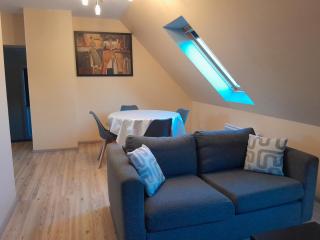 Appartement 4 couchages Le nid de l'écureuil - 9