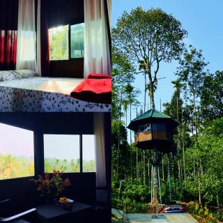 LilliputHaven Treehut - 7