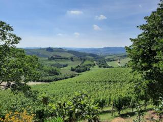 Cà Trifolera Barbaresco - Camera Tripla con bagno - DEGUSTAZIONE VINI NELLA NOSTRA CANTINA - 1