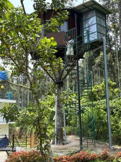 LilliputHaven Treehut - 0