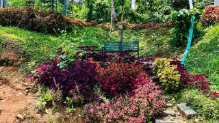 LilliputHaven Treehut - 5