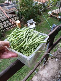 Les Terrasses du Verger - 5