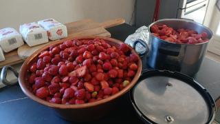 Les Terrasses du Verger - 7