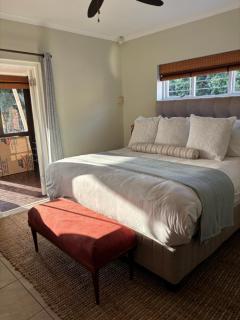 Hakuna Matata Sedge - 4